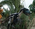 Велоцираптор является одним из самых известных динозавров, она может достичь до 1,8 метра и весом около 15 кг, но главной его особенностью является то, что он перья